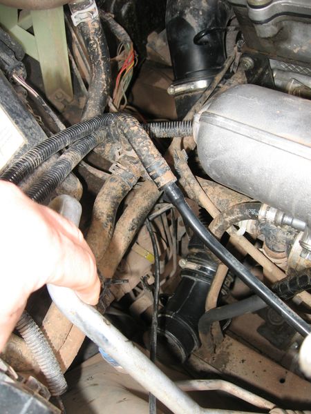 Datei:LP Schnorchel Td5 09.jpg