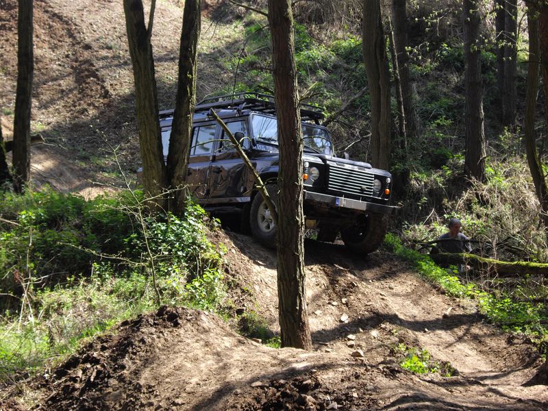 Datei:LP Böser Wolf Waldtrial 02.jpg