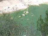 ...als auch im Wasser.
